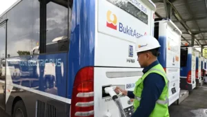 Dividen PTBA Menggoda! Saham Bukit Asam Naik Tajam Hari Ini?