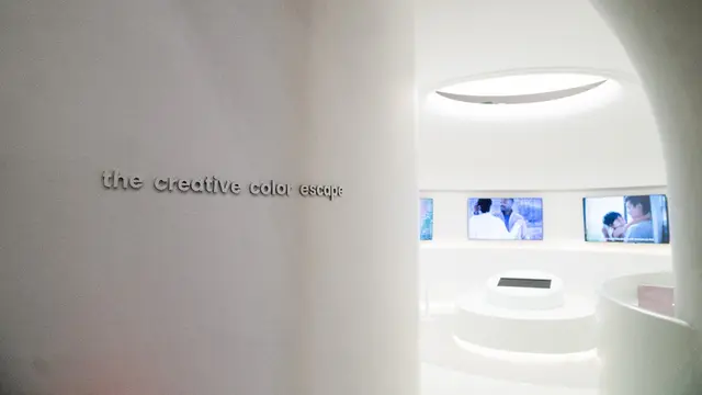 Toto Bagi Dividen Rp12: Jadwal Lengkap & Cara Mendapatkannya