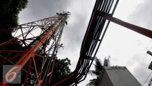 Tower Bersama Bagi Untung: Dividen Rp1,08 Triliun Tahun 2024!
