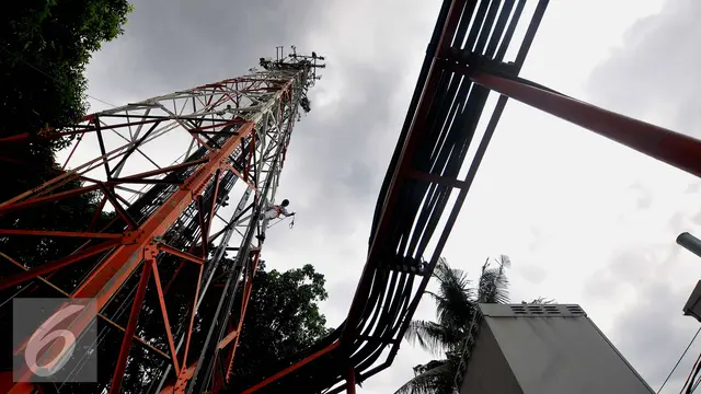 Tower Bersama Bagi Untung: Dividen Rp1,08 Triliun Tahun 2024!
