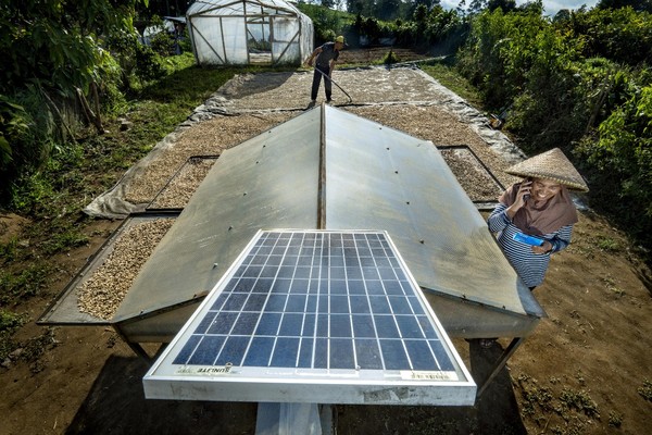 BRI: Bank Berkelanjutan Dunia, Raih SDGs, Inovasi Terdepan